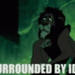 Meet your Posher, Abel